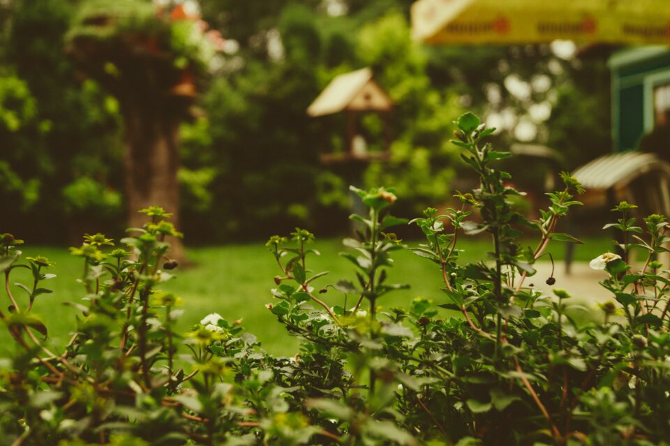 Easy Ways to Make Your Backyard More Useful